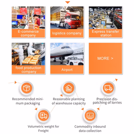 Gosunm Dws Parcel Sorting Machine Dimension Weight Scanning E-Commerce Warehouse Logistics Equipment Static Dws